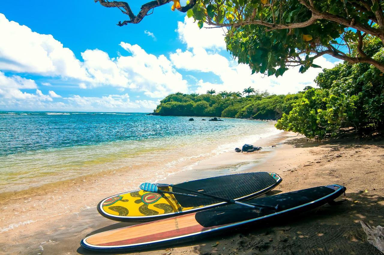 473 Grenada Boutique Resort St. George's Luaran gambar