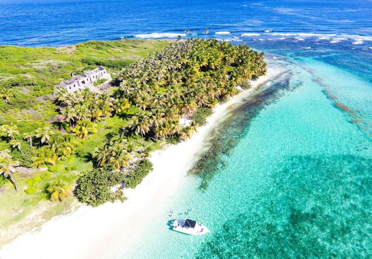 473 Grenada Boutique Resort St. George's Luaran gambar